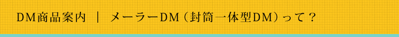 DM商品案内｜メーラーDM（封筒一体型DM）って？